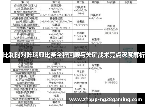 比利时对阵瑞典比赛全程回顾与关键战术亮点深度解析