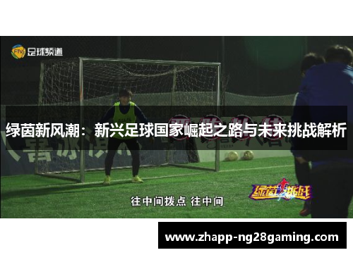 绿茵新风潮：新兴足球国家崛起之路与未来挑战解析